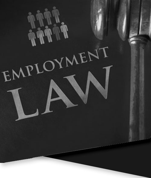 employment law solicitor plymouth | unfair dismissal plymouth solicitor | employment dispute solicitor plymouth | evans harvey employment solicitors plymouth